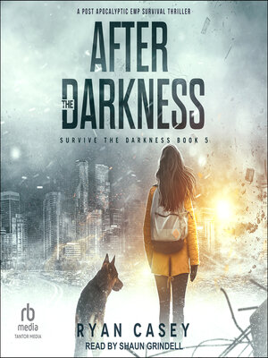 cover image of After the Darkness
